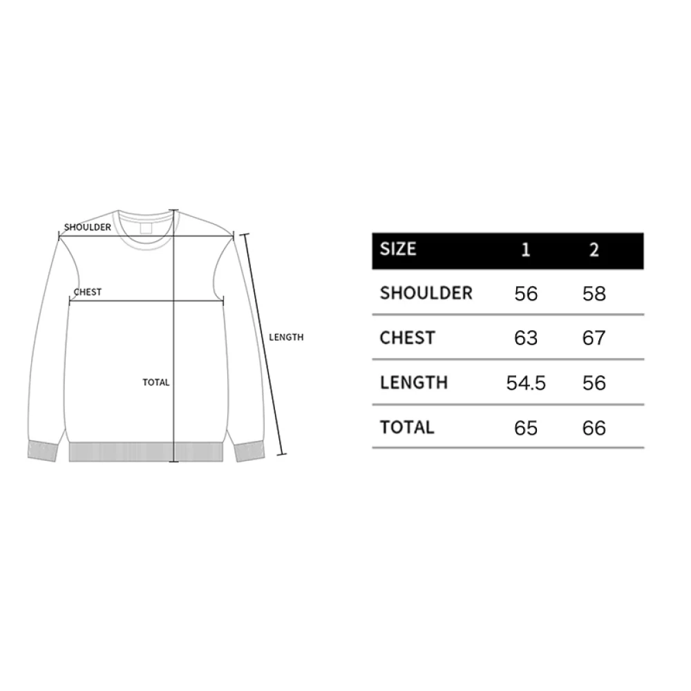 [acm¨¦ de la vie X HOSHI] PIGMENT BASIC LOGO SWEATSHIRT LIGHT GRAY - Image 3